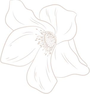 Kolumbus International Marriage & Saathi Service